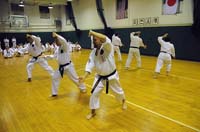 BB_Karate_NYC_285