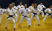 BB_Karate_NYC_630