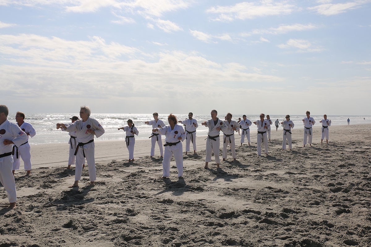 Ueshiro Shorin-Ryu 2016 Florida_7345