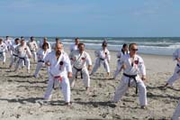 Ueshiro Shorin-Ryu 2016 Florida_7239