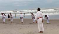 Ueshiro Shorin-Ryu 2016 Florida_8522