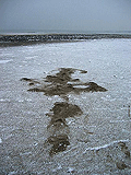 Footprints from kata Rohai - Parsons Beach, Maine